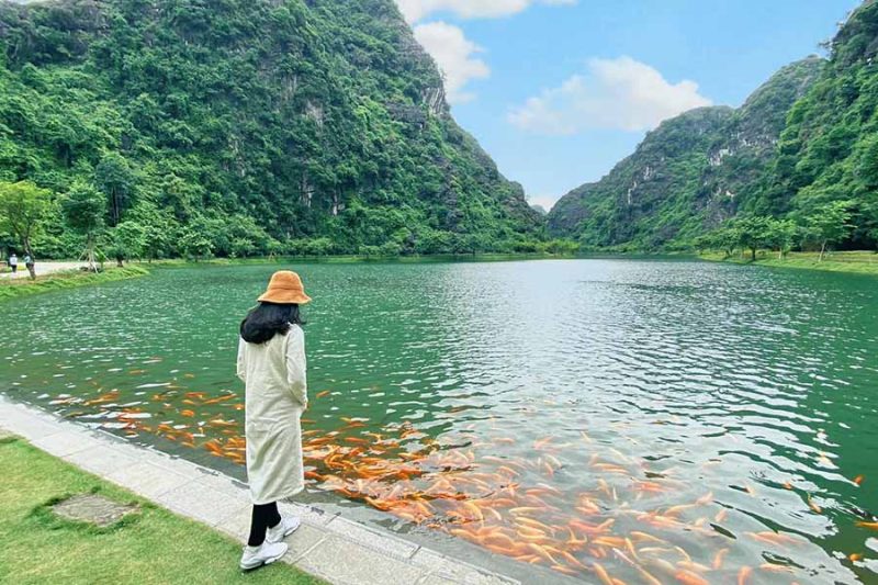 tuyet tinh co ninh binh