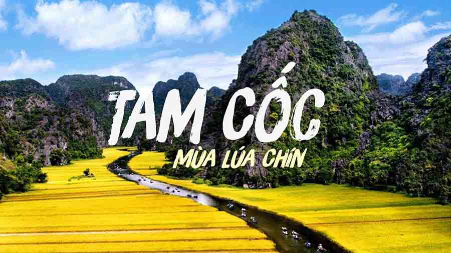 anh tam coc