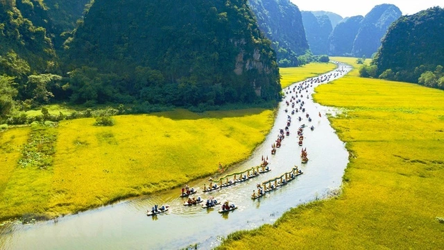 tam coc