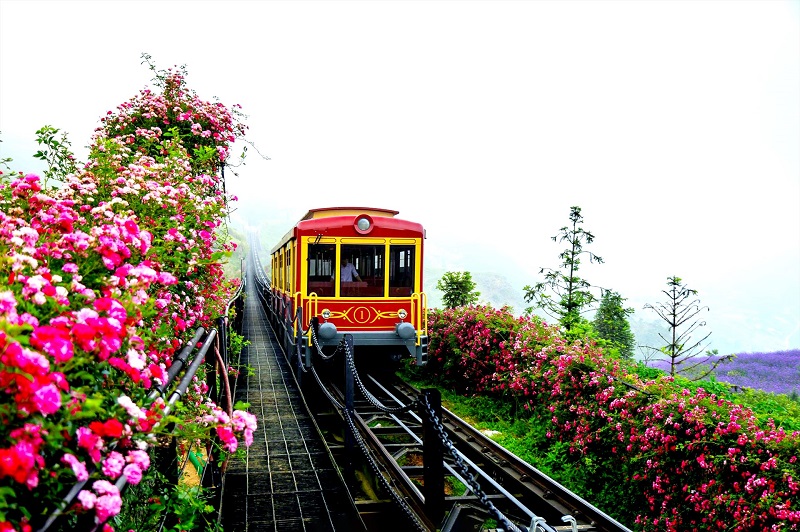 kinh nghiem di sapa bang tau hoa 7