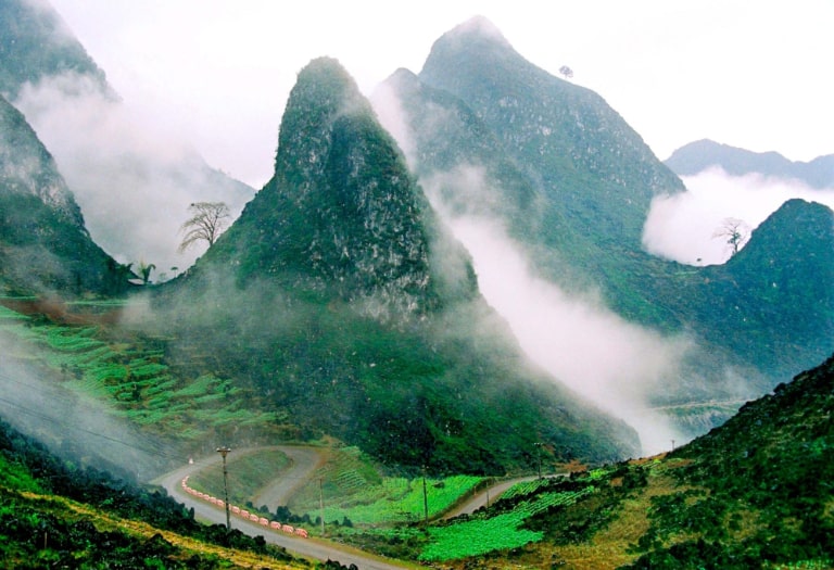 ha giang co gi 1